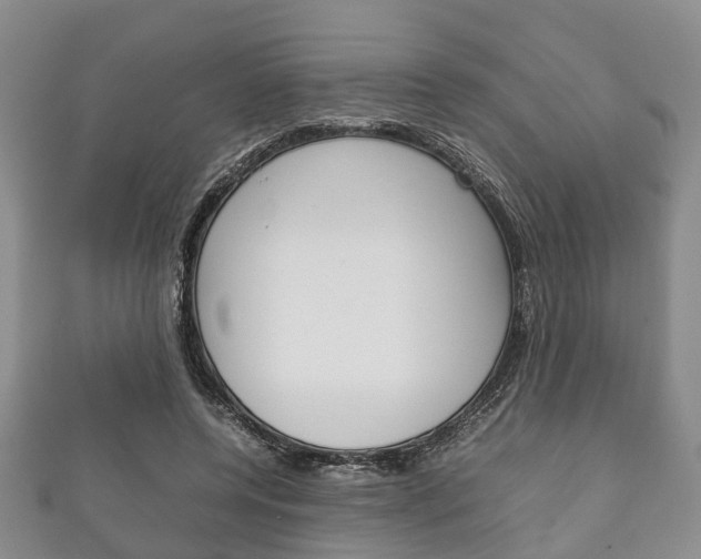 X0000111920544200907271011