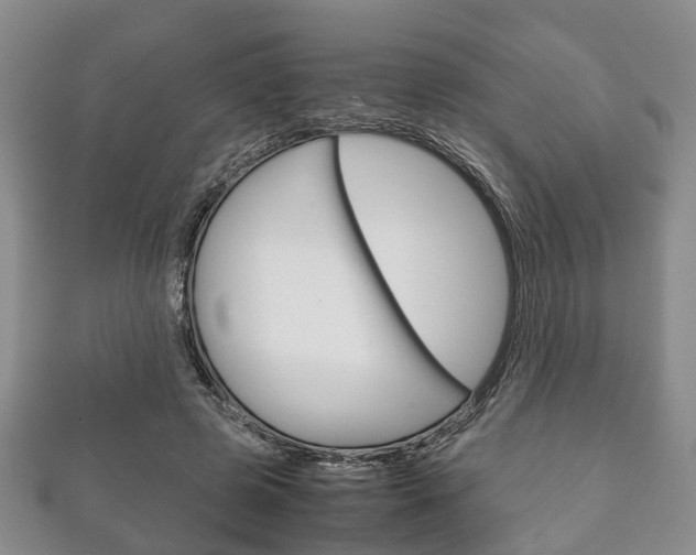 X0000111920545200907271011