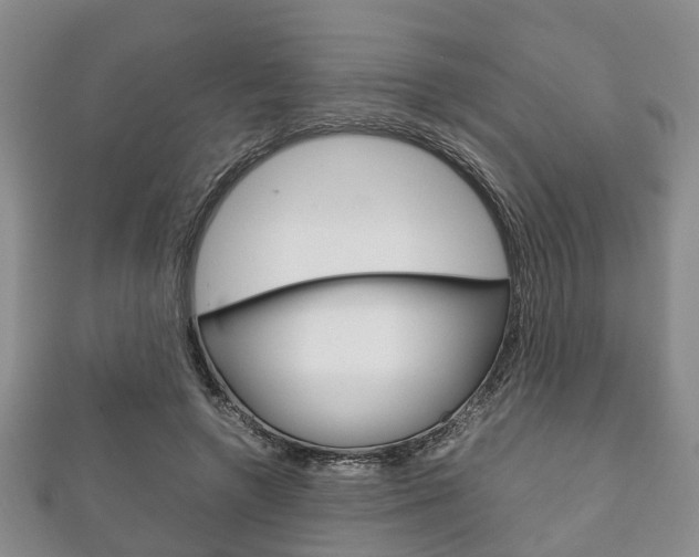 X0000111920546200907271011