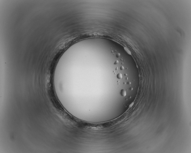 X0000111920548200907271011