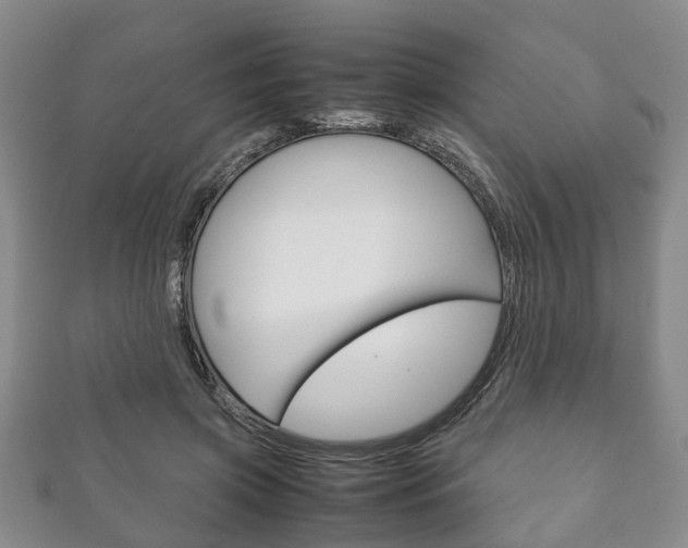 X0000111920549200907271011