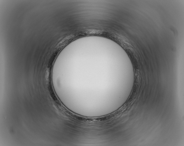 X0000111920550200907271011