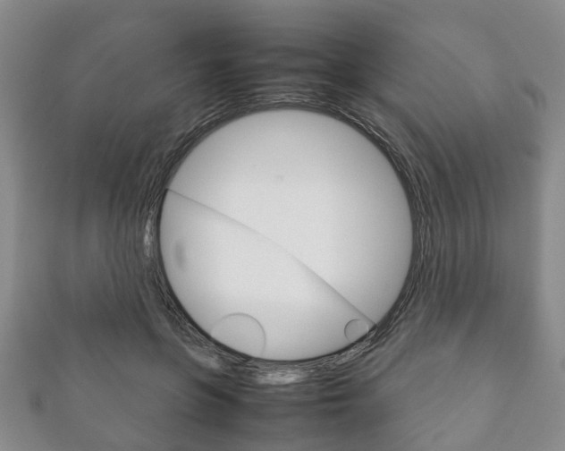 X0000111920551200907271011