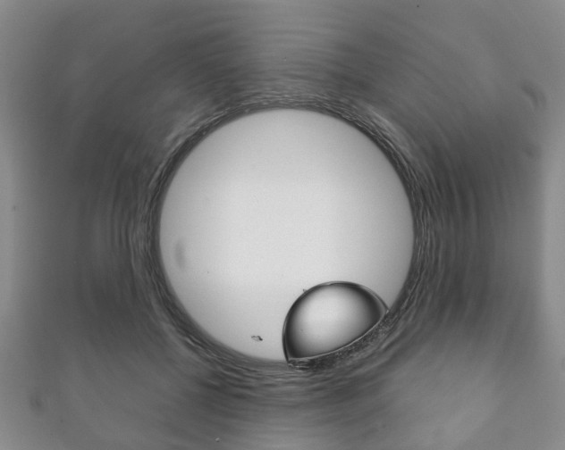 X0000111920552200907271011