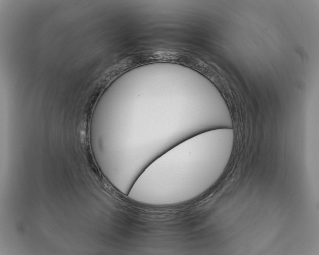 X0000111920553200907271011
