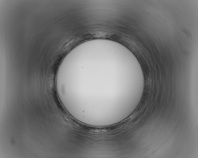X0000111920554200907271011