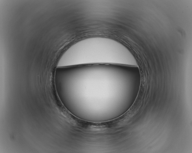 X0000111920556200907271011