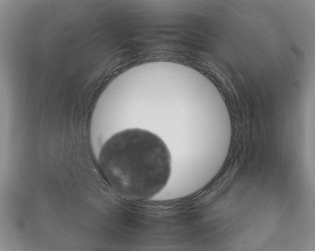 X0000111920561200907271012