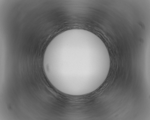 X0000111920564200907271012
