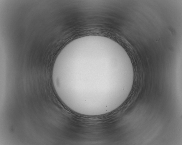 X0000111920565200907271012