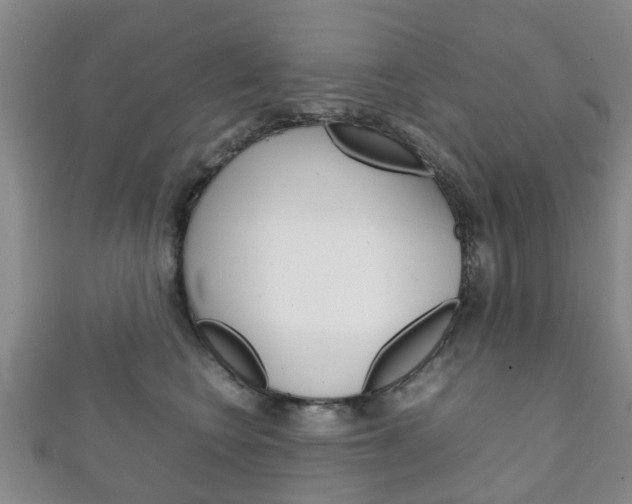 X0000111920566200907271012