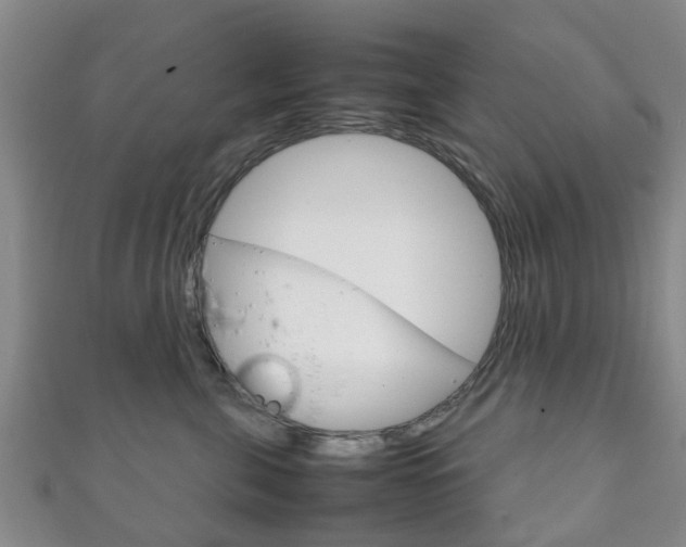 X0000111920571200907271012