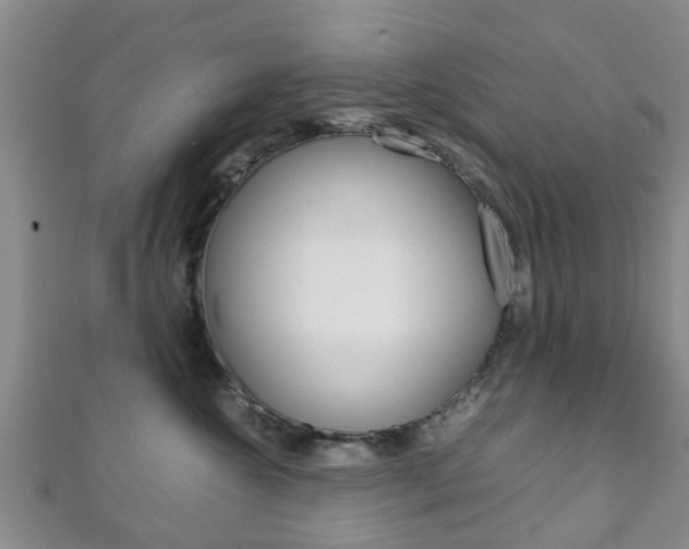X0000111920572200907271012