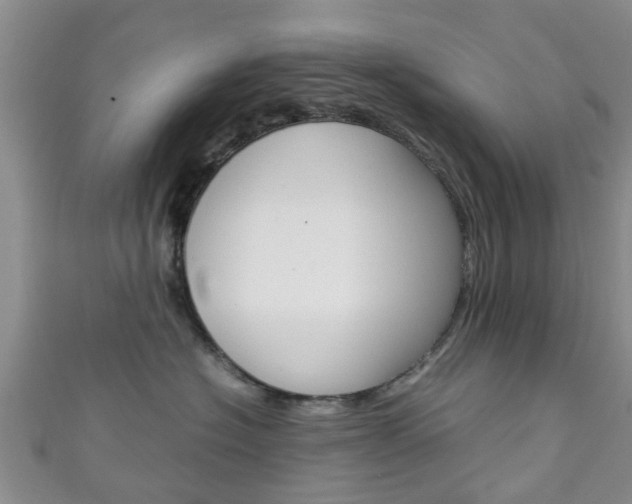 X0000111920574200907271012