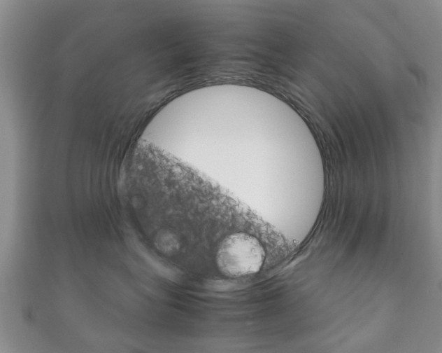 X0000111920575200907271012