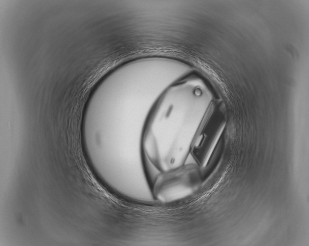 X0000111920577200907271011