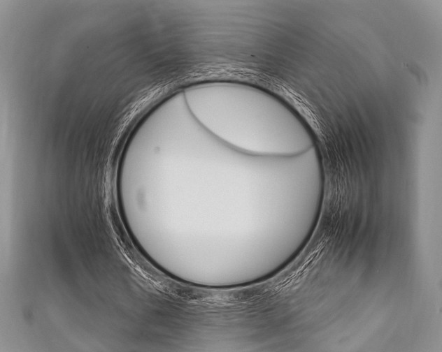 X0000111920578200907271011