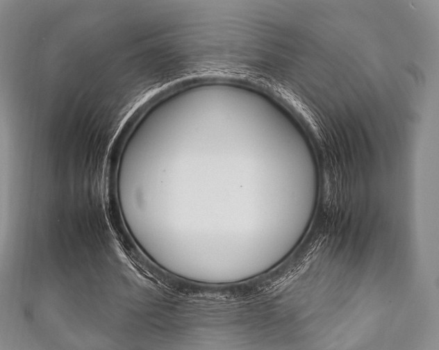 X0000111920580200907271011
