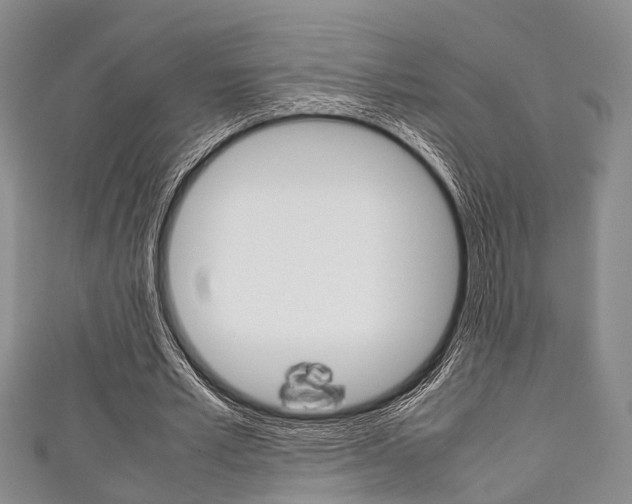 X0000111920581200907271011