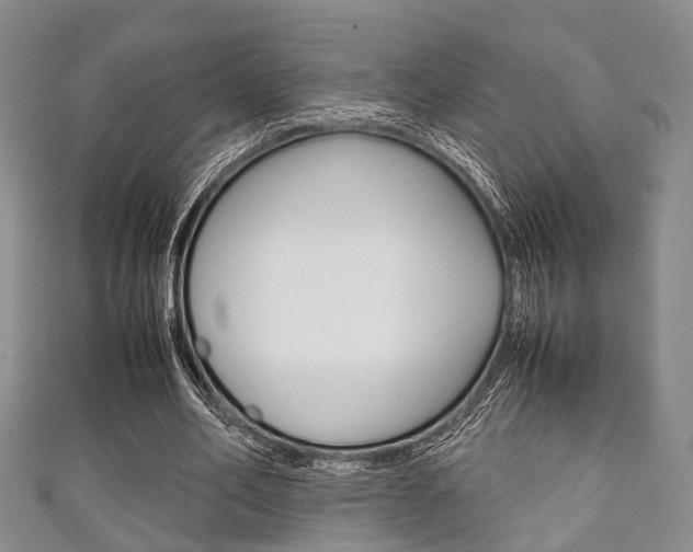 X0000111920582200907271011
