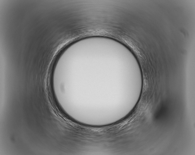 X0000111920583200907271011