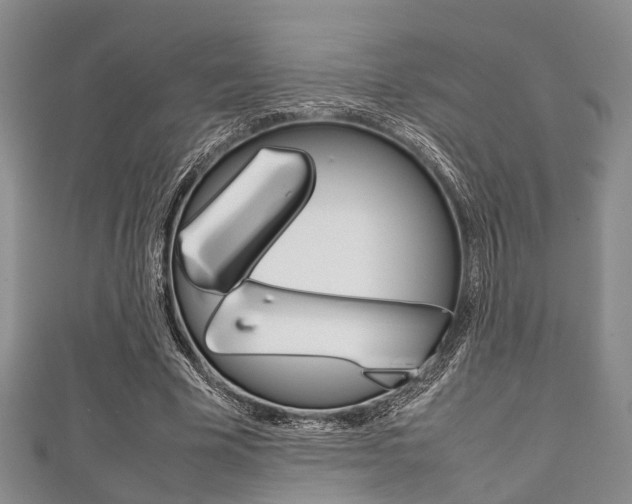 X0000111920585200907271011