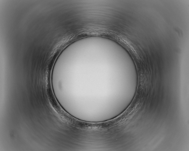 X0000111920586200907271011