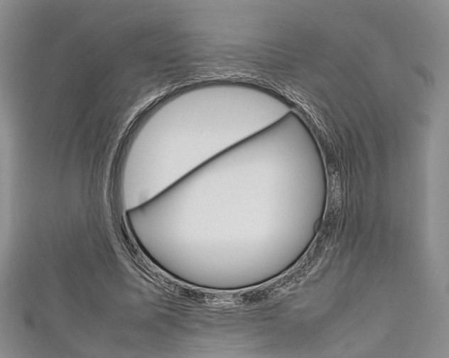X0000111920587200907271011