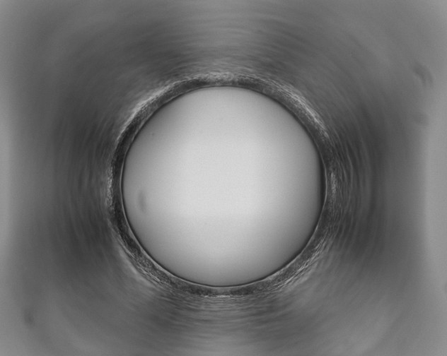 X0000111920588200907271011