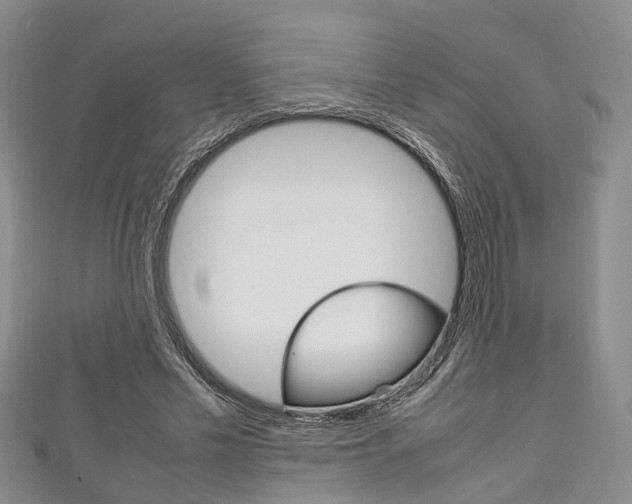 X0000111920589200907271011