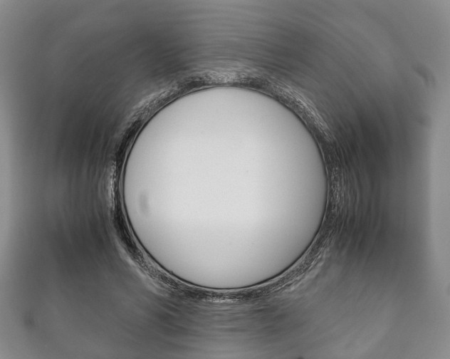 X0000111920590200907271011
