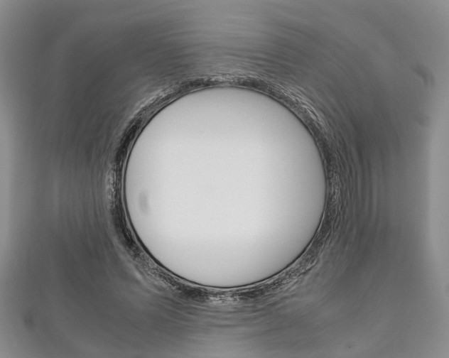 X0000111920591200907271011