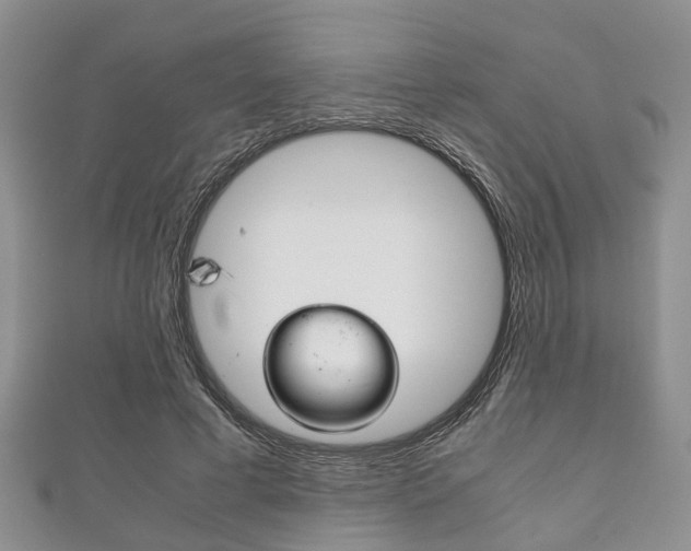 X0000111920593200907271011