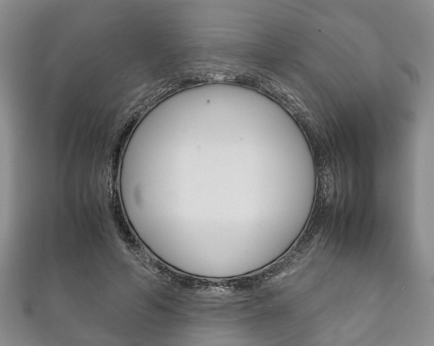 X0000111920594200907271011