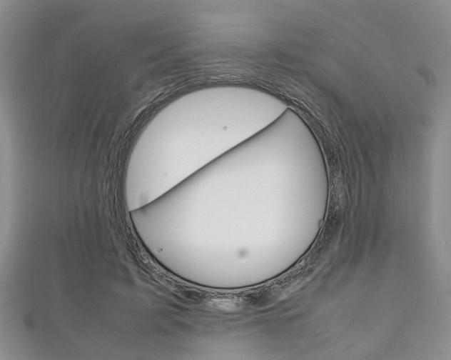 X0000111920595200907271011