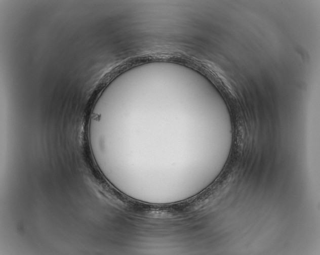 X0000111920596200907271011