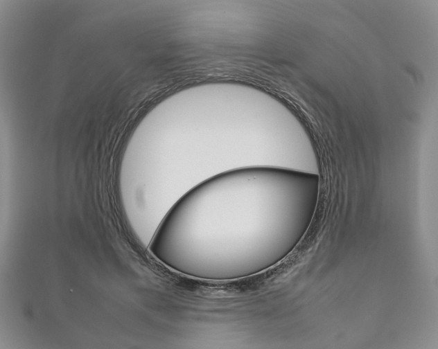 X0000111920597200907271011