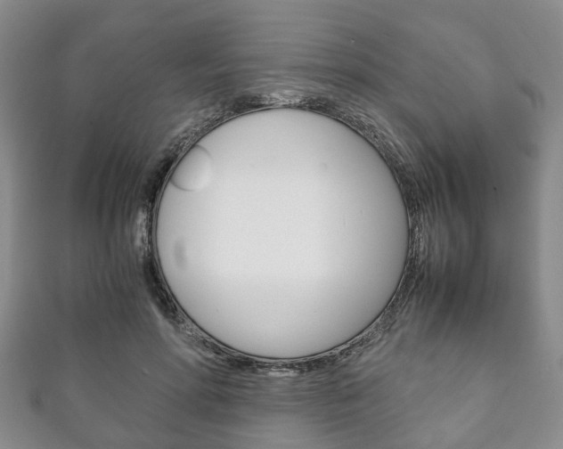 X0000111920598200907271011