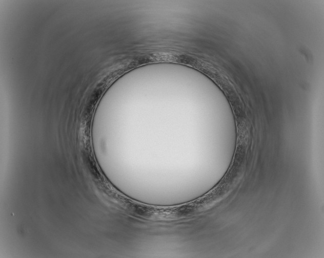 X0000111920599200907271011