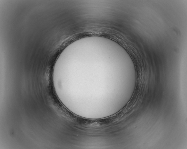 X0000111920600200907271011