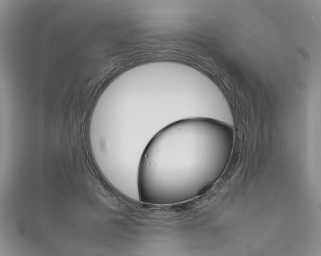 X0000111920601200907271011