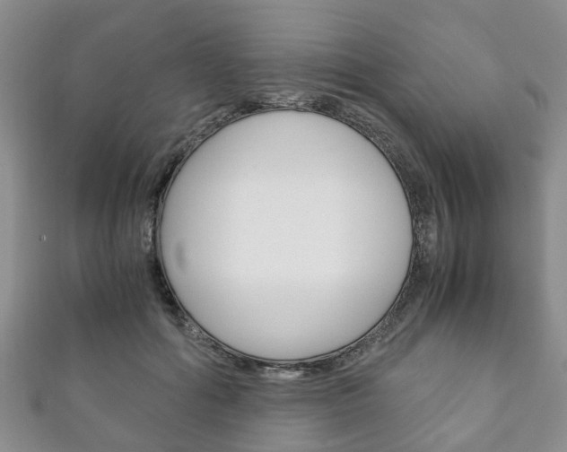 X0000111920602200907271011