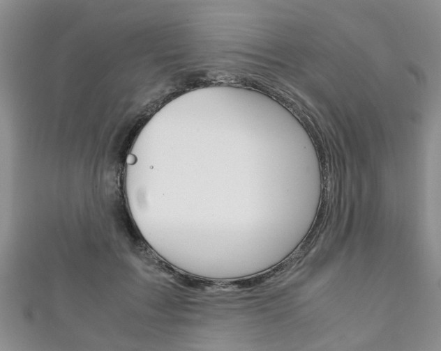 X0000111920603200907271011