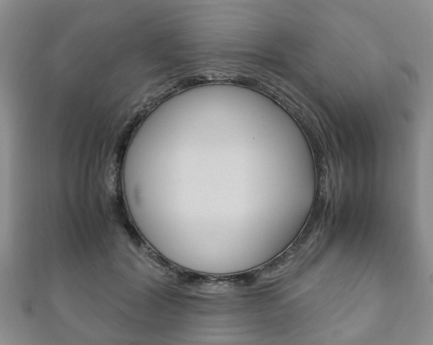 X0000111920604200907271011