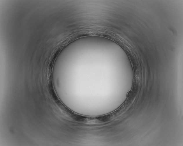 X0000111920605200907271011
