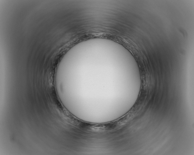 X0000111920606200907271011