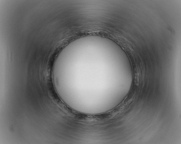 X0000111920608200907271011