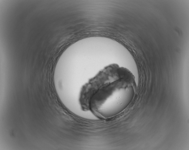 X0000111920609200907271011