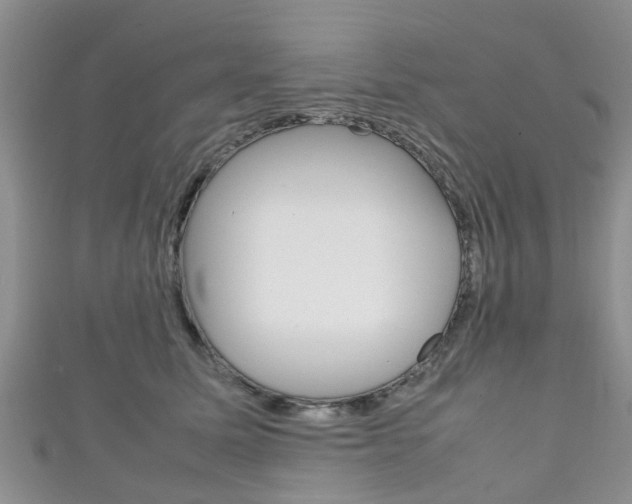 X0000111920611200907271011