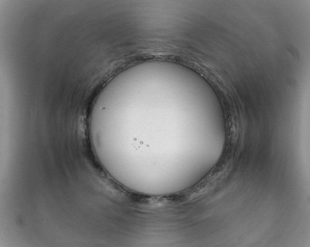 X0000111920612200907271011